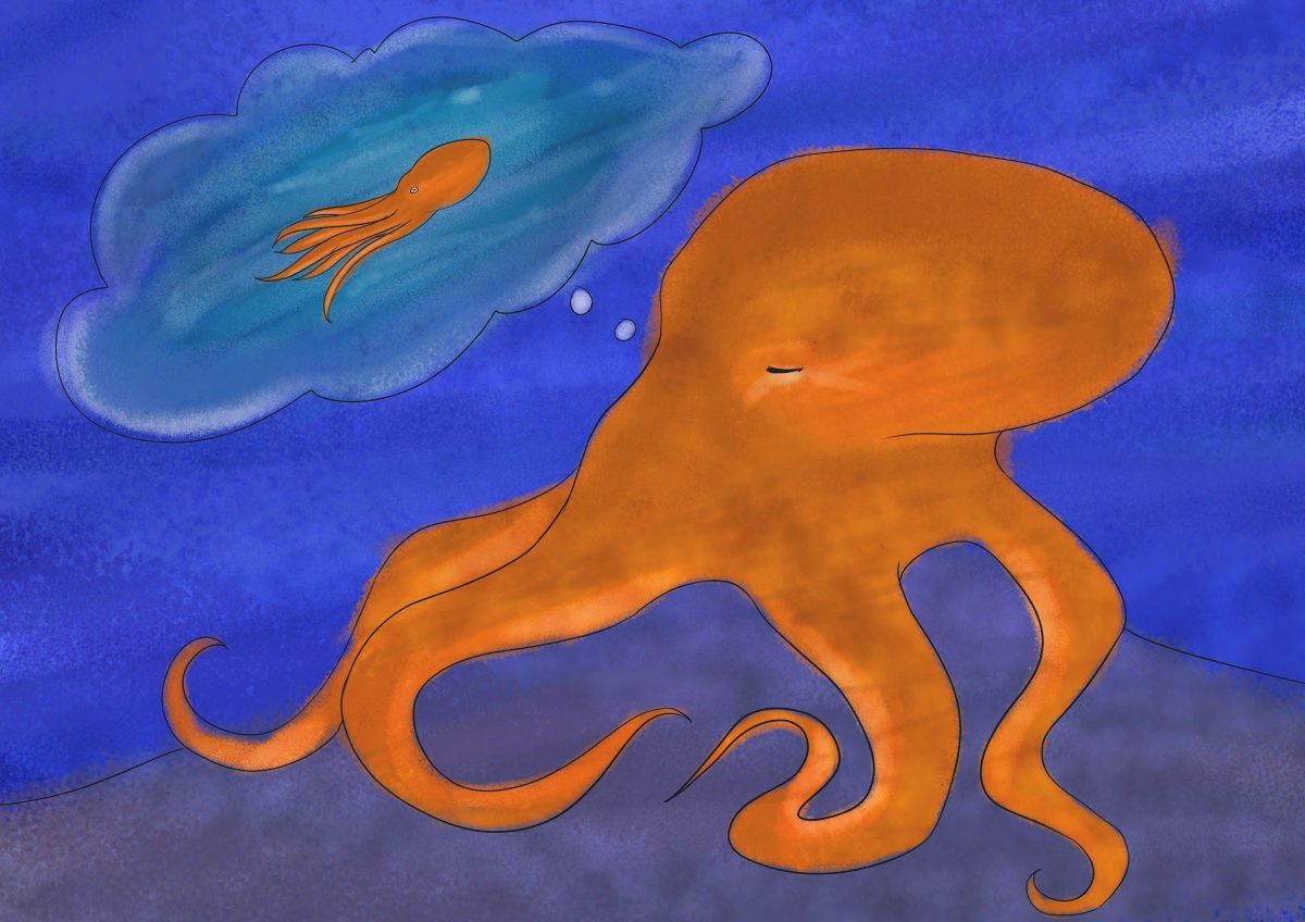 Octopus Dreams